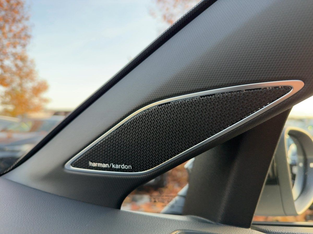 Fahrzeugabbildung Volkswagen Golf R Black Edition Akra Pano Navi HarmanKardon