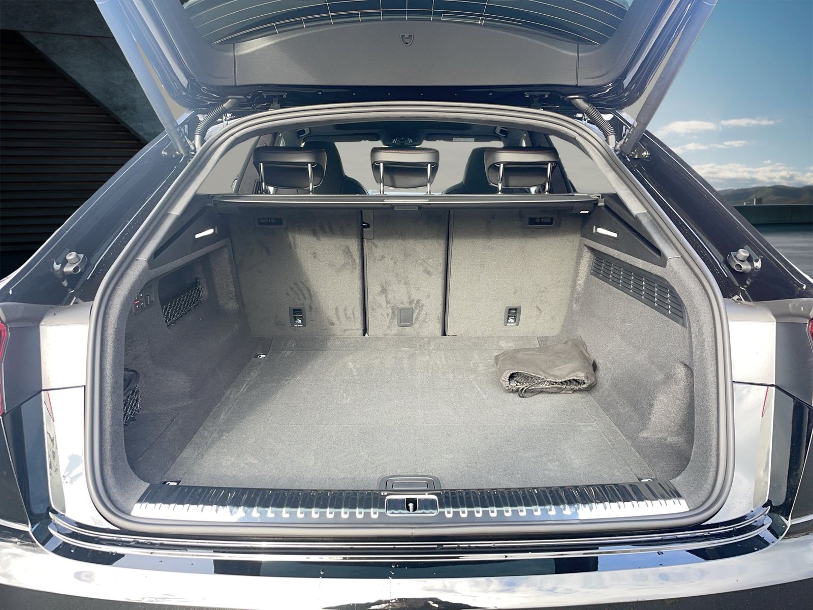 Fahrzeugabbildung Audi RS Q8 performance Keramik / 305 km/h