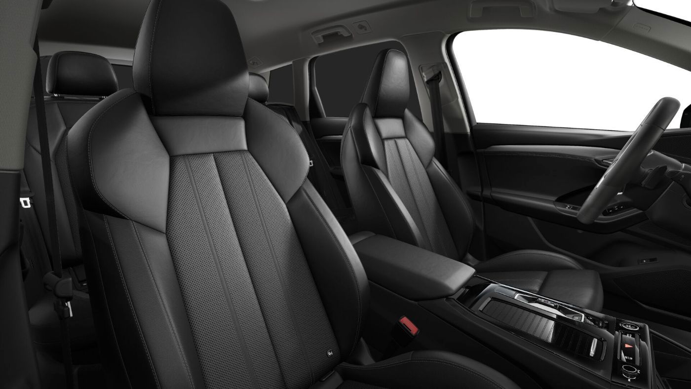 Fahrzeugabbildung Audi Q6 e-tron S line Tech plus Standhzg|4xSHZG|ACC|L