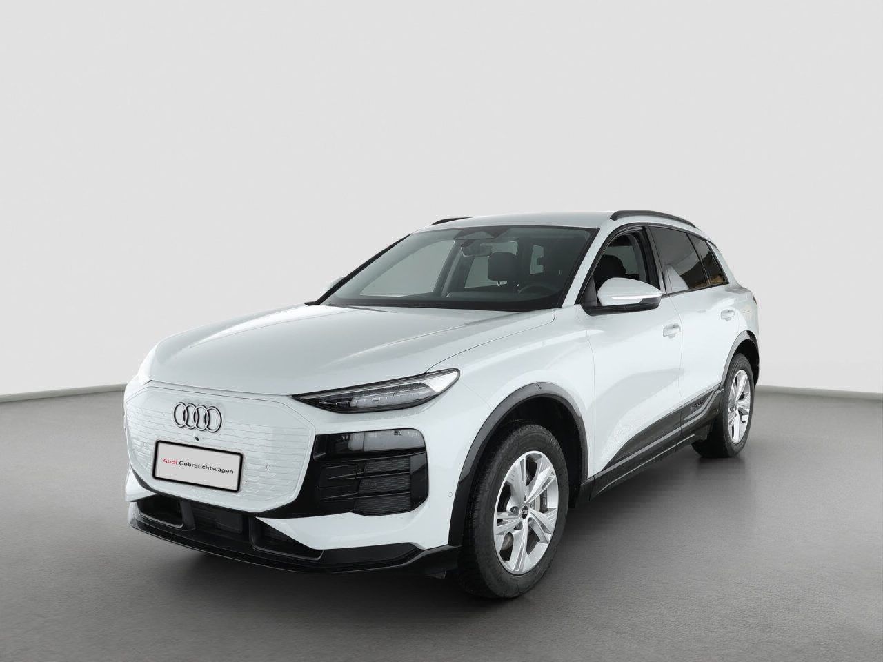 Fahrzeugabbildung Audi Q6 e-tron Tech Standhzg|LM