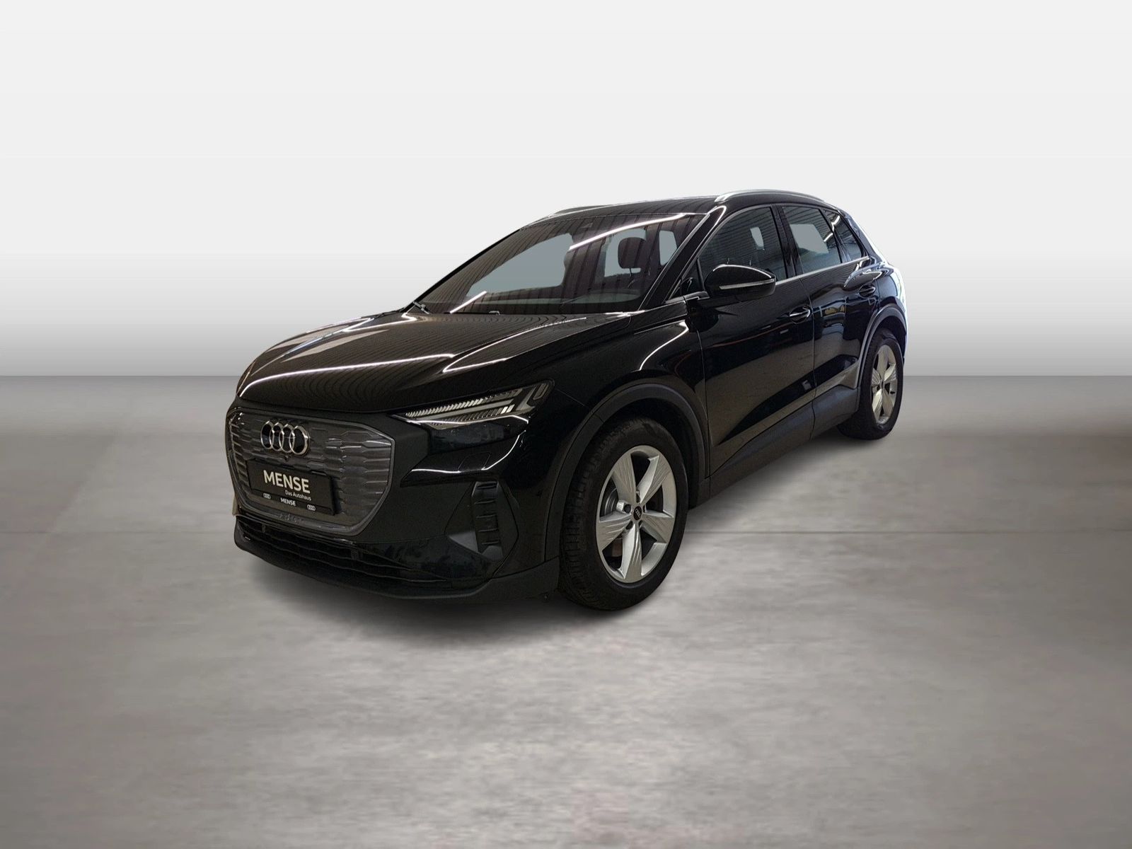 Fahrzeugabbildung Audi Q4 e-tron quattro 45 e-tron Matrix AHK Standhzg
