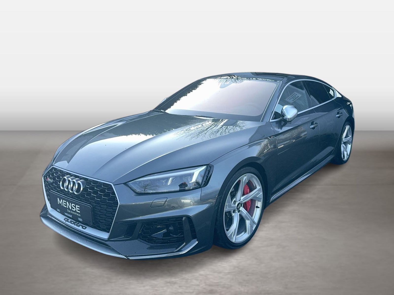 Fahrzeugabbildung Audi RS 5 Sportback 2.9 TFSI quattro tiptronic Matrix