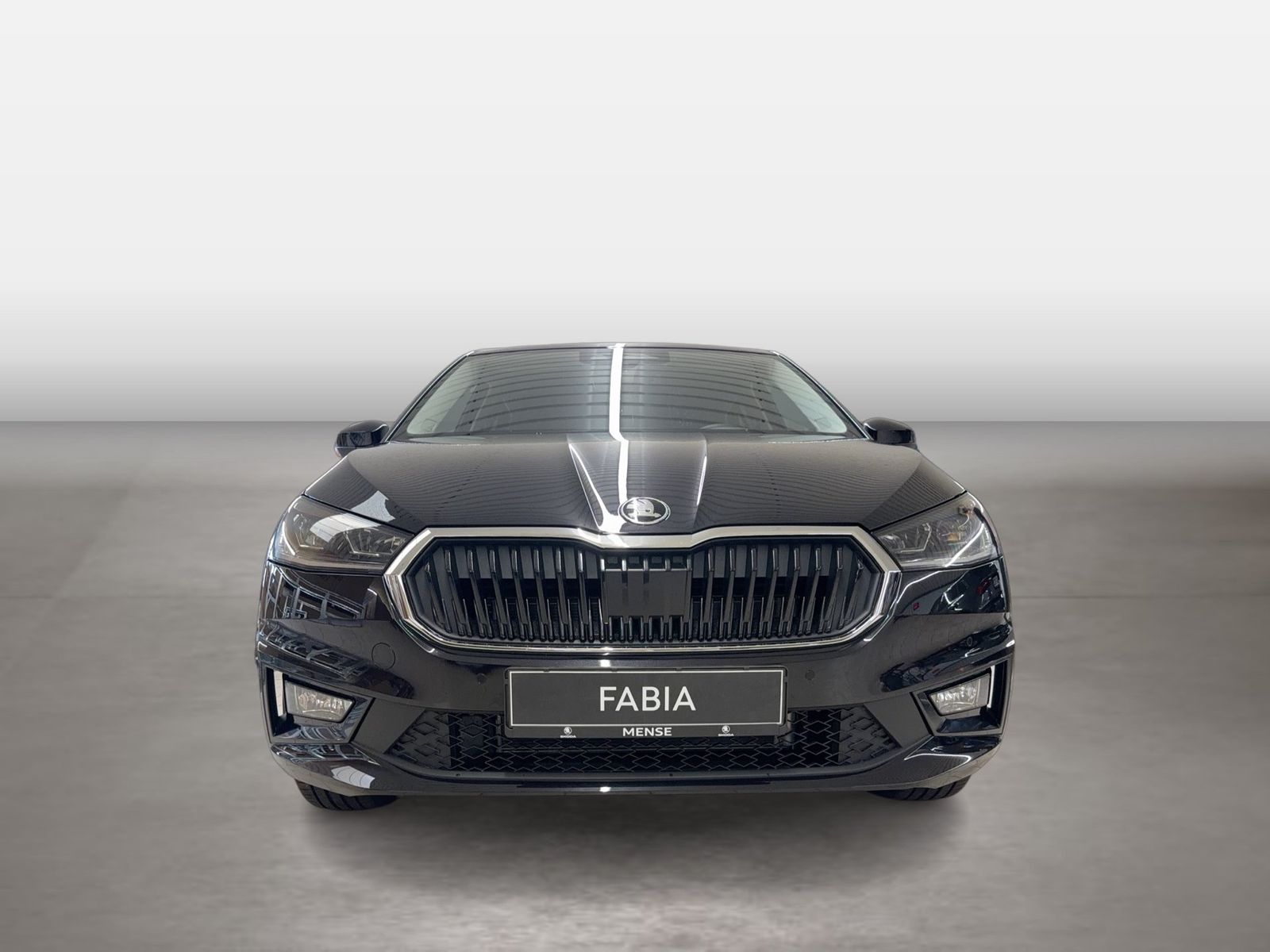 Fahrzeugabbildung SKODA Fabia 1.0 MPI Selection LED Navi VirtualCP PDC - mit KI generiert/bearbeitet